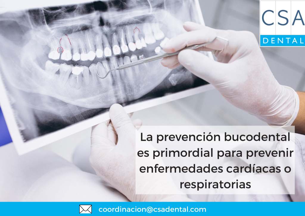 La prevención bucodental es imprescindible para evitar patologías cardíacas o respiratorias